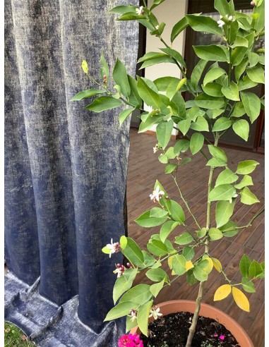 Завеса със стилна текстура и меко затъмнение